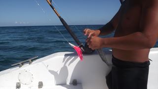 Pescuit Marea Caraibelor